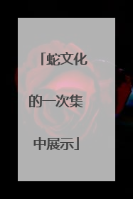 蛇文化的一次集中展示