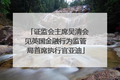 证监会主席吴清会见英国金融行为监管局首席执行官亚迪