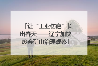 让“工业伤疤”长出春天——辽宁加快废弃矿山治理观察