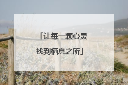 让每一颗心灵找到栖息之所