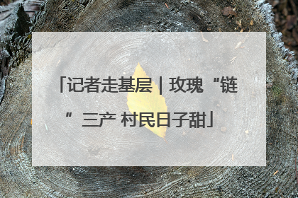 记者走基层｜玫瑰“链”三产 村民日子甜