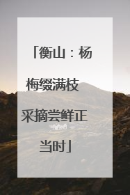 衡山：杨梅缀满枝 采摘尝鲜正当时