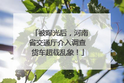 被曝光后，河南省交通厅介入调查货车超载乱象！