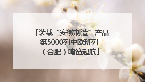 装载“安徽制造”产品 第5000列中欧班列（合肥）鸣笛起航