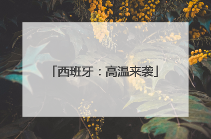 西班牙：高温来袭