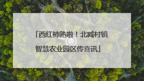 西红柿熟啦！北臧村镇智慧农业园区传喜讯