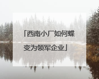 西南小厂如何蝶变为领军企业