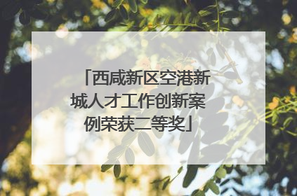 西咸新区空港新城人才工作创新案例荣获二等奖