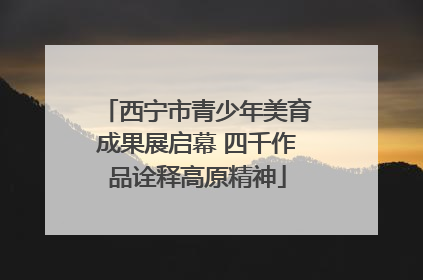 西宁市青少年美育成果展启幕 四千作品诠释高原精神
