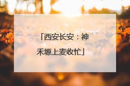 西安长安：神禾塬上麦收忙