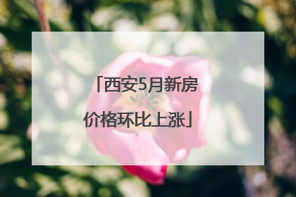 西安5月新房价格环比上涨