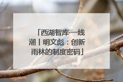 西湖智库·一线潮丨明文彪：创新雨林的制度密码