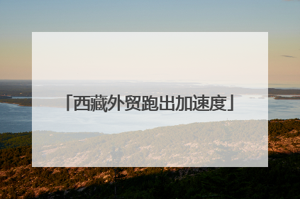 西藏外贸跑出加速度