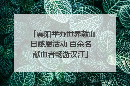 襄阳举办世界献血日感恩活动 百余名献血者畅游汉江