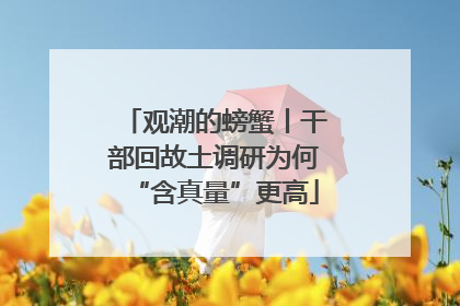 观潮的螃蟹丨干部回故土调研为何“含真量”更高