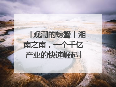 观潮的螃蟹丨湘南之南，一个千亿产业的快速崛起