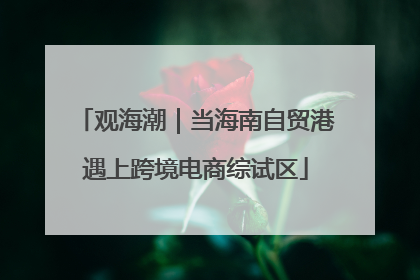 观海潮｜当海南自贸港遇上跨境电商综试区