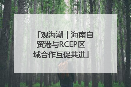观海潮｜海南自贸港与RCEP区域合作互促共进