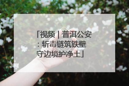 视频｜普洱公安：斩毒链筑铁壁 守边境护净土