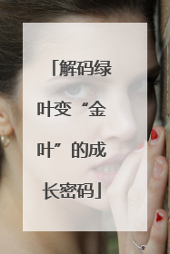 解码绿叶变“金叶”的成长密码