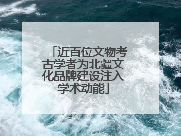 近百位文物考古学者为北疆文化品牌建设注入学术动能