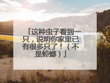 这种虫子看到一只，说明你家里已有很多只了！（不是蟑螂）