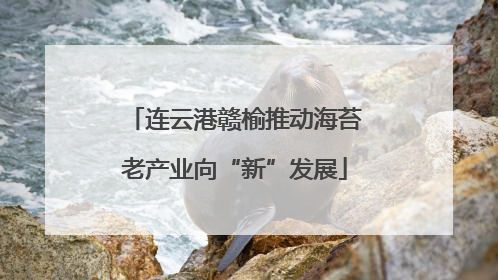 连云港赣榆推动海苔老产业向“新”发展