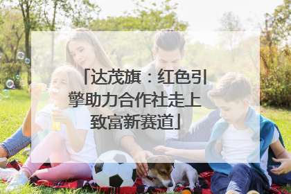 达茂旗：红色引擎助力合作社走上致富新赛道
