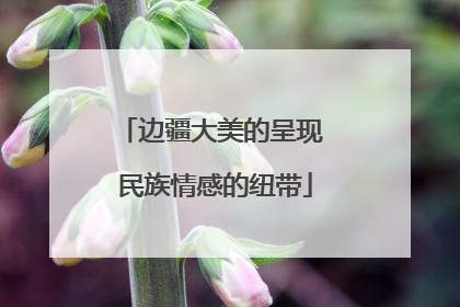 边疆大美的呈现 民族情感的纽带