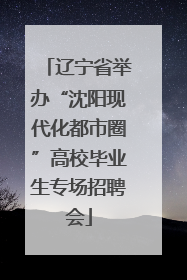 辽宁省举办“沈阳现代化都市圈”高校毕业生专场招聘会