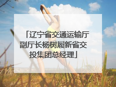 辽宁省交通运输厅副厅长杨树履新省交投集团总经理