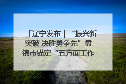 辽宁发布｜“振兴新突破 决胜勇争先”盘锦市锚定“五方面工作”力争全年地区生产总值增长5.5%左右