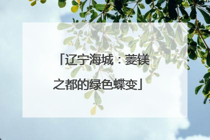 辽宁海城：菱镁之都的绿色蝶变