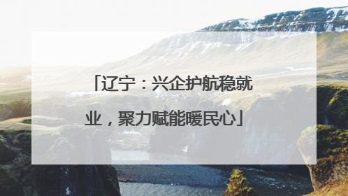 辽宁：兴企护航稳就业，聚力赋能暖民心