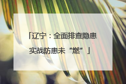 辽宁：全面排查隐患 实战防患未“燃”