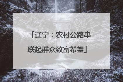 辽宁：农村公路串联起群众致富希望