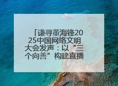 谦寻董海锋2025中国网络文明大会发声：以“三个向善”构建直播电商善意长河