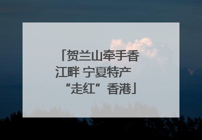 贺兰山牵手香江畔 宁夏特产“走红”香港