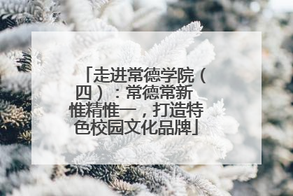 走进常德学院（四）：常德常新 惟精惟一，打造特色校园文化品牌