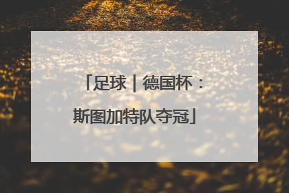 足球｜德国杯：斯图加特队夺冠