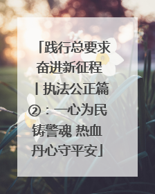 践行总要求 奋进新征程丨执法公正篇②：一心为民铸警魂 热血丹心守平安