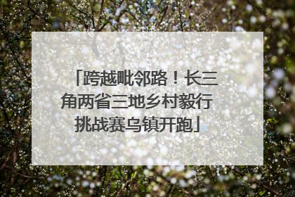 跨越毗邻路！长三角两省三地乡村毅行挑战赛乌镇开跑