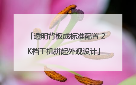 透明背板成标准配置 2K档手机拼起外观设计
