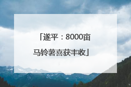 遂平：8000亩马铃薯喜获丰收