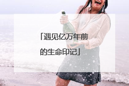 遇见亿万年前的生命印记