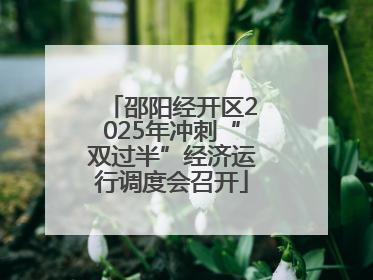 邵阳经开区2025年冲刺“双过半”经济运行调度会召开