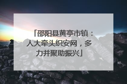 邵阳县黄亭市镇：人大牵头织安网，多力并聚助振兴
