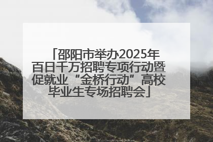 邵阳市举办2025年百日千万招聘专项行动暨促就业“金桥行动”高校毕业生专场招聘会
