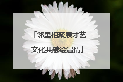 邻里相聚展才艺 文化共融绘温情