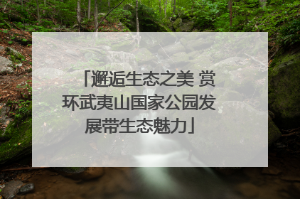 邂逅生态之美 赏环武夷山国家公园发展带生态魅力
